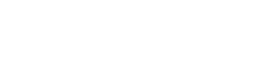 BZ AI Solutions Logo